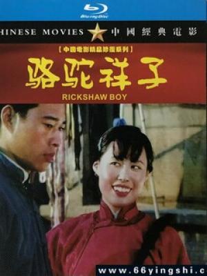 星落凝成糖